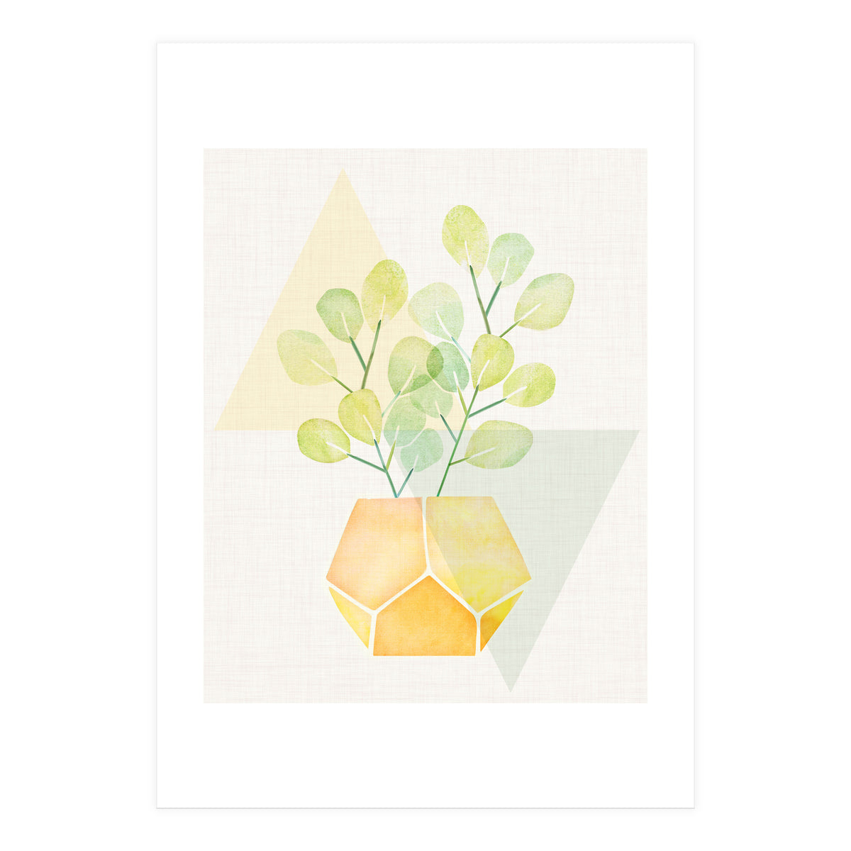 Geometry and House Plant (Print Only)