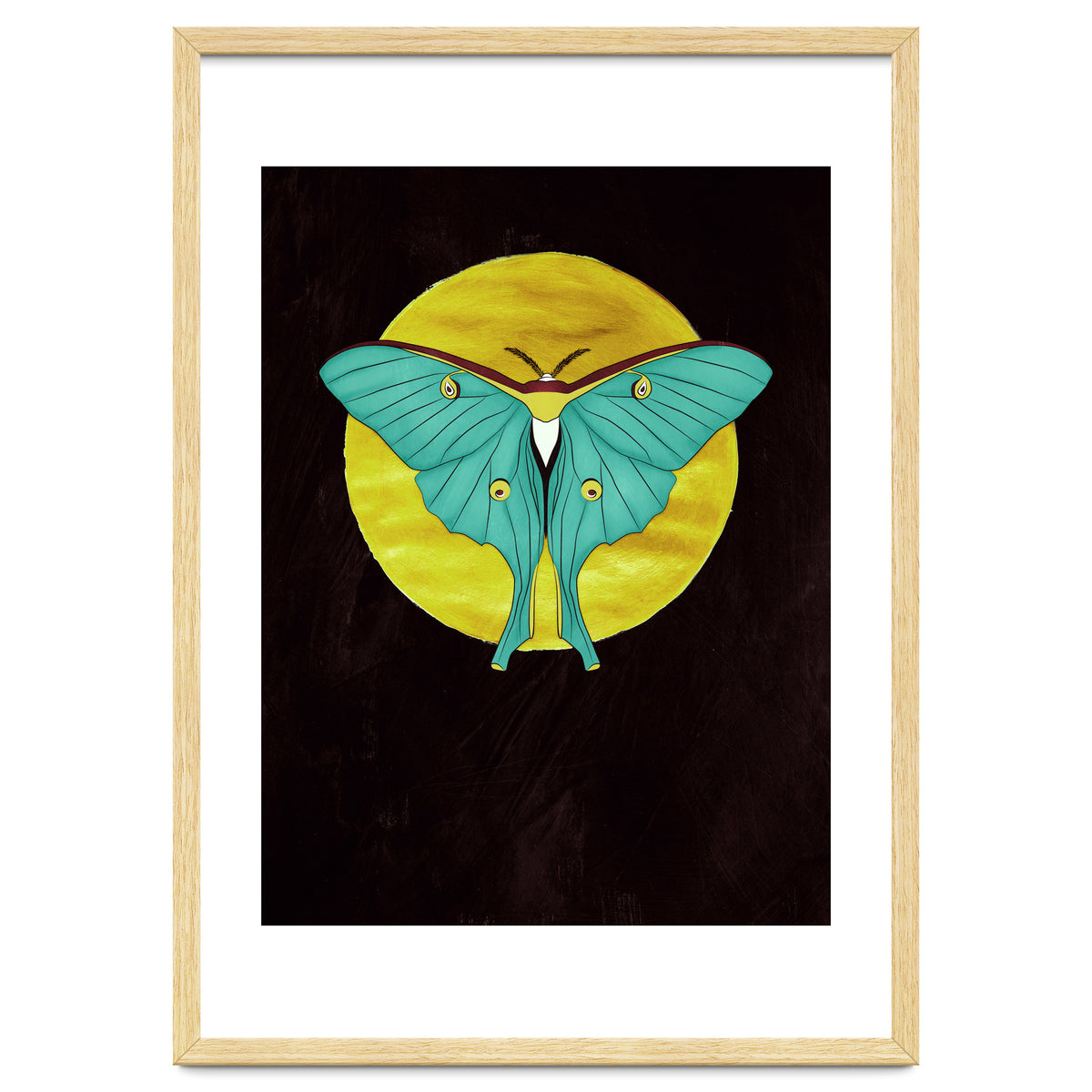 Luna Moth Moon