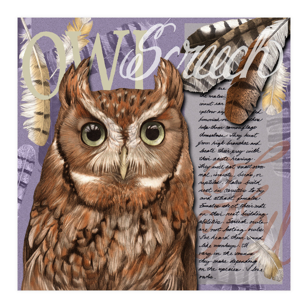 Screech Owl (Print Only)