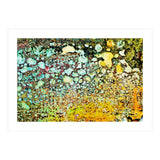 Sage (Print Only) thumbnail