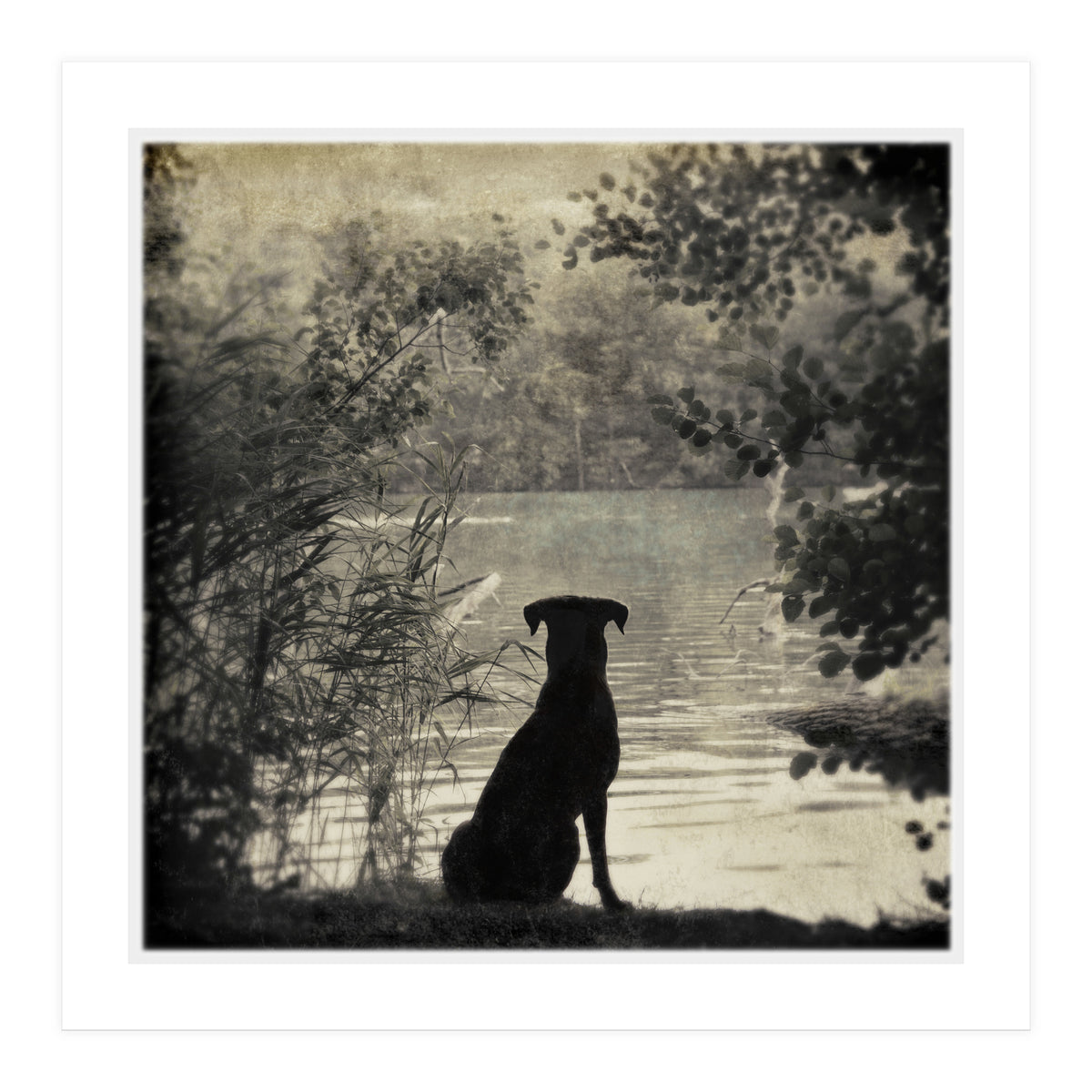 Waiting for you (Print Only)