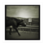 Struan Road (Print Only) thumbnail