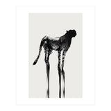Cheetah  (Print Only) thumbnail