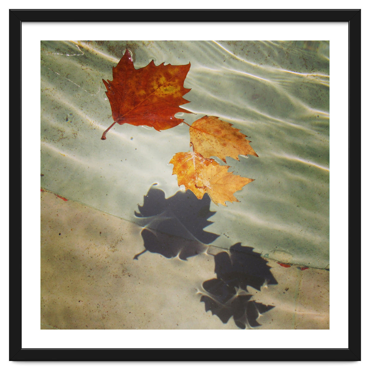 Floating leaves