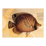 Fish Between Circles 3 (Print Only) thumbnail