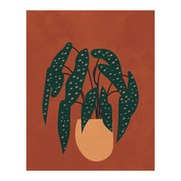 Boho Terracotta Begonia (Print Only)