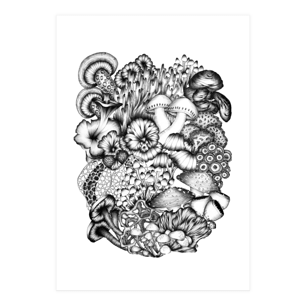 Medley Of Mushrooms (Print Only)