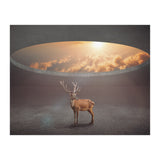 Display Ring (Print Only) thumbnail
