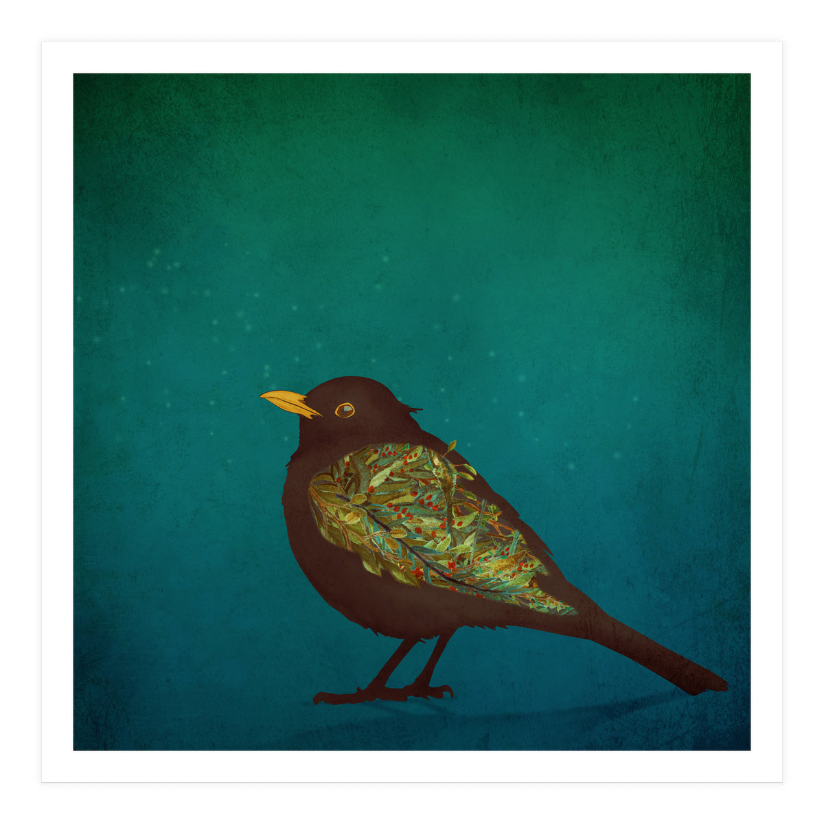 Camouflage: The Blackbird (Print Only)