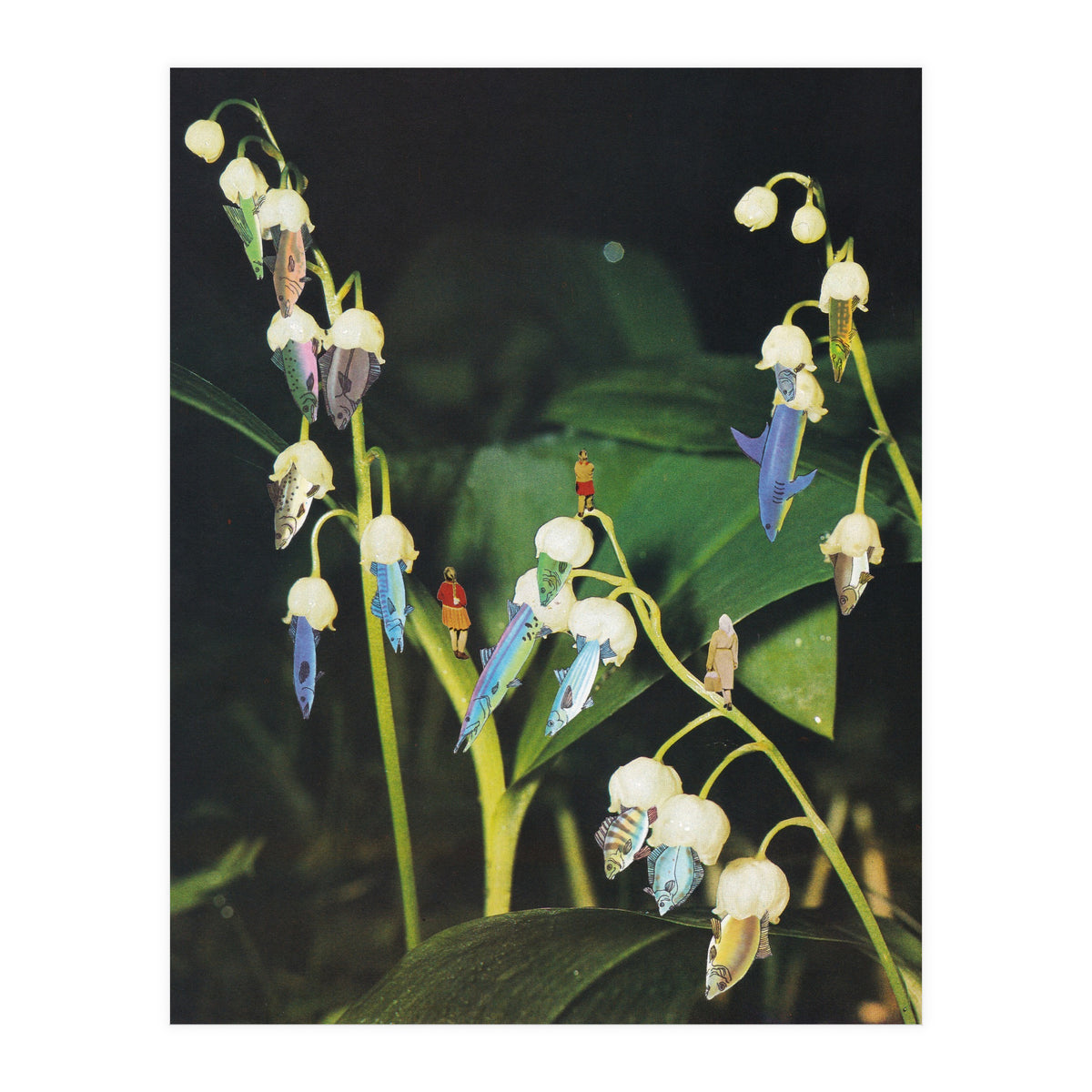 Fishflower (Print Only)