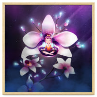Orchid Meditation