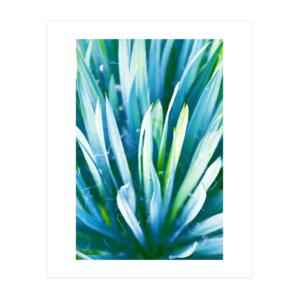 Heart Of Nature (Print Only)