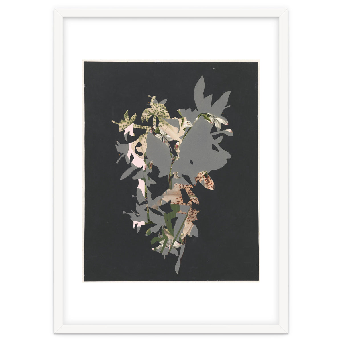 The First Plant · Black