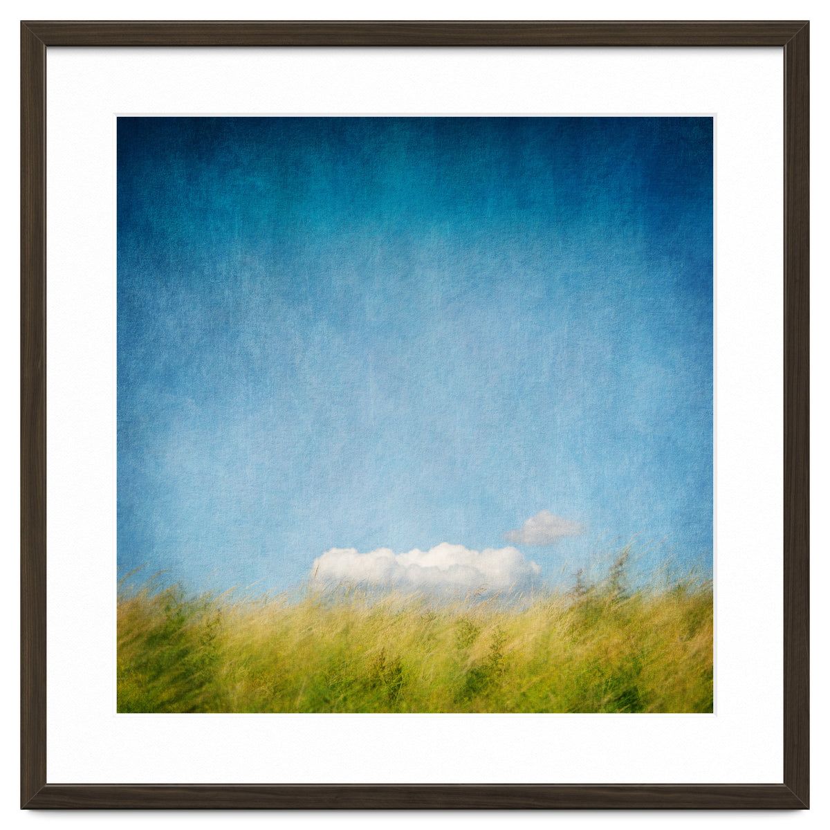 The Cloud That Fell From The Sky