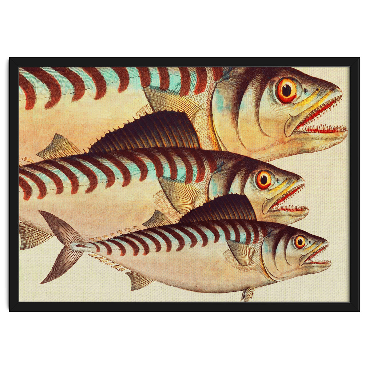 Fish Classic Designs 8