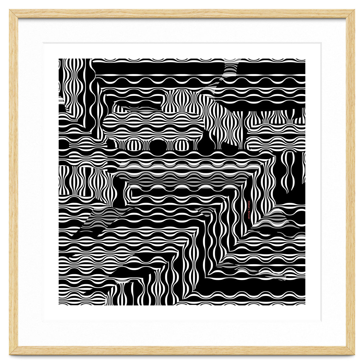 BLACK AND WHITE EXOTIC