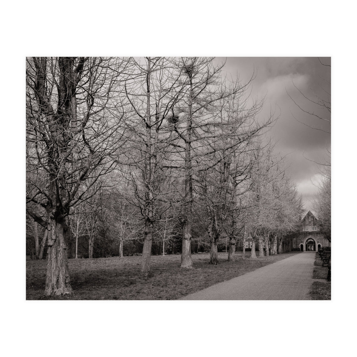 Bute Park, Cardiff (Print Only)