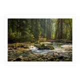 Cascade River (Print Only) thumbnail