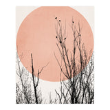 Sunset Dreams Rose (Print Only) thumbnail