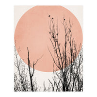 Sunset Dreams Rose (Print Only)