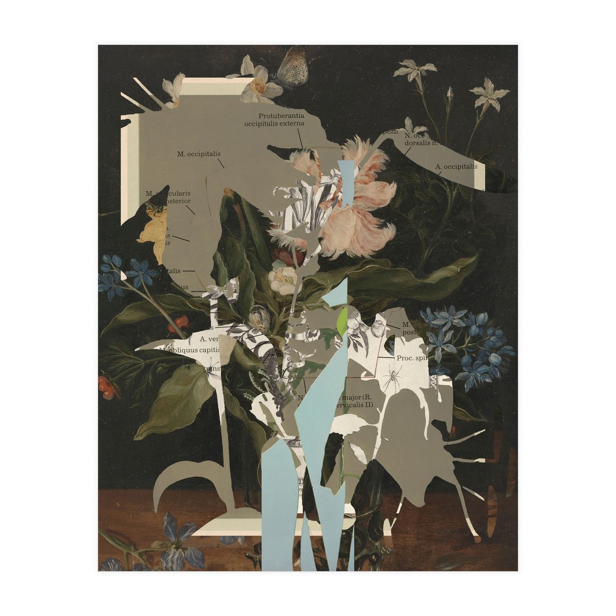 The First Plant · D2 (Print Only)