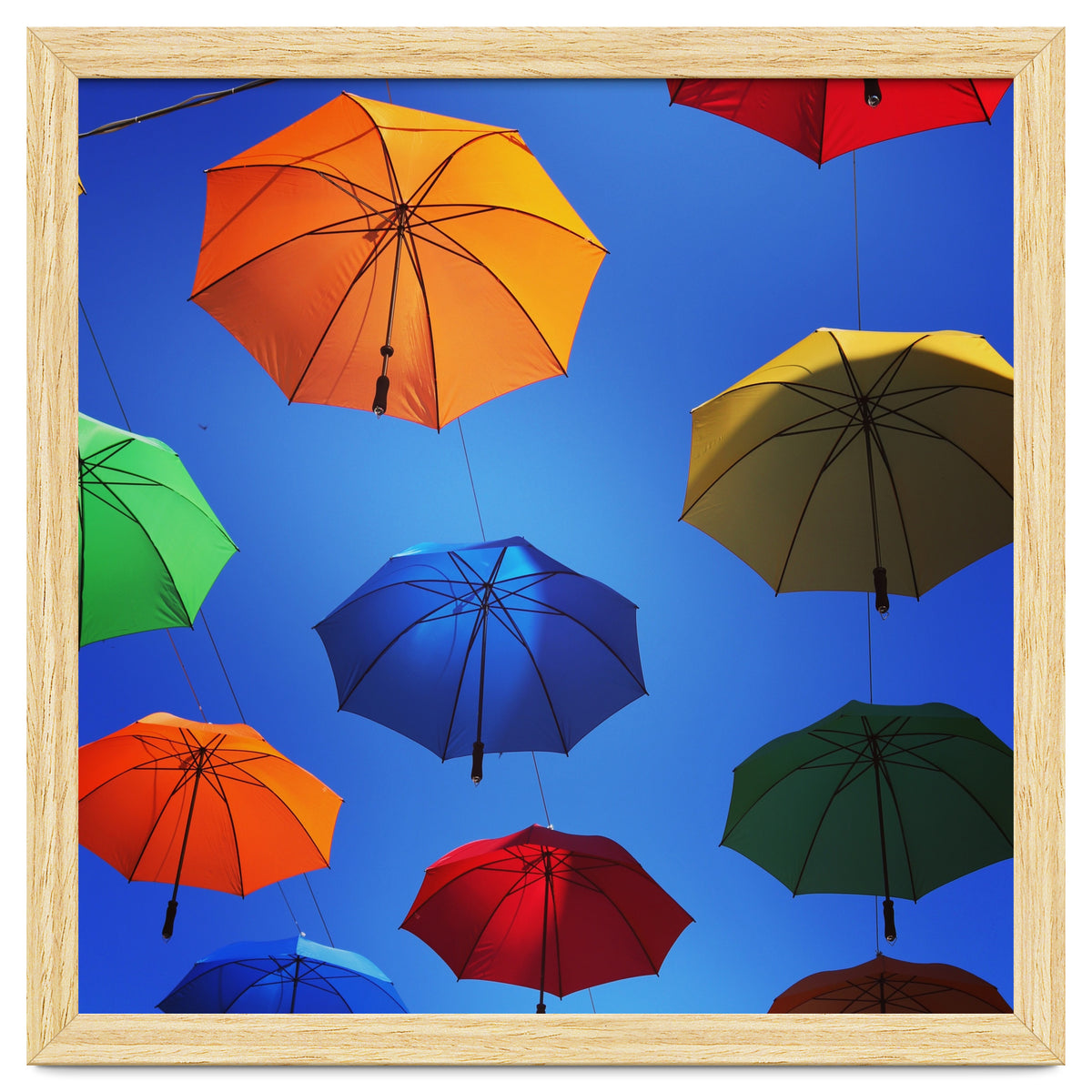 Rainbow umbrellas