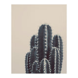 Vintage Cactus #1 (Print Only) thumbnail