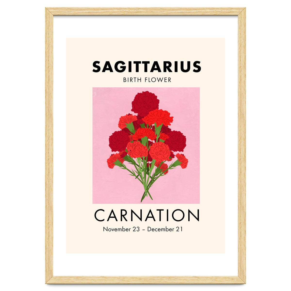 Sagittarius Birth Flower Carnation