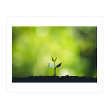 Plant in Nature (Print Only) thumbnail