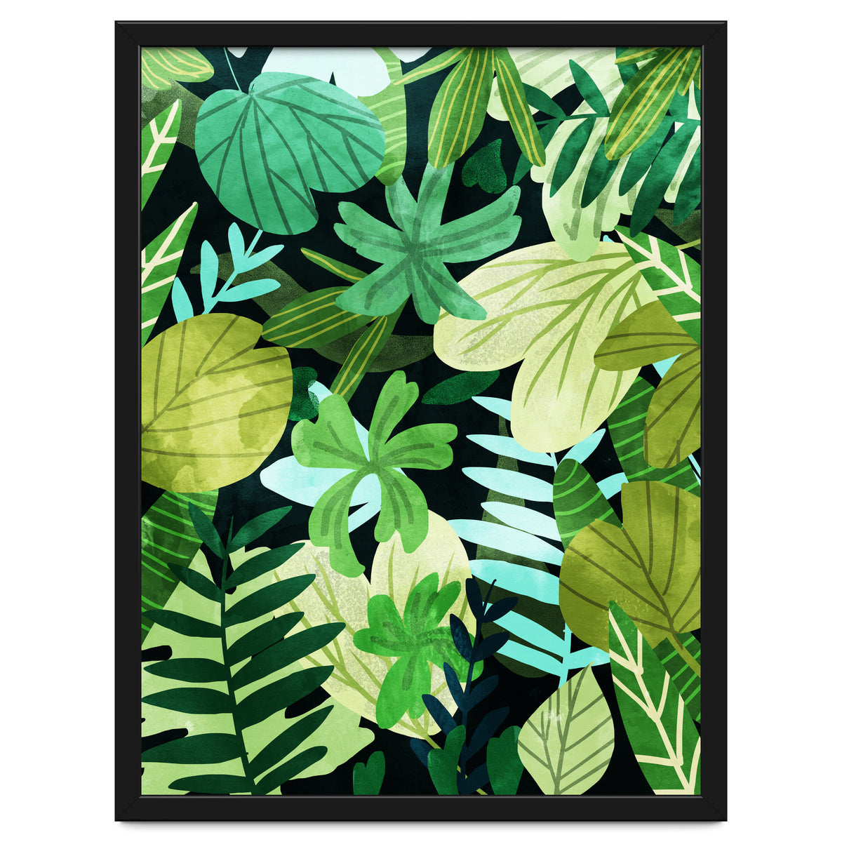 Rainforest Ii