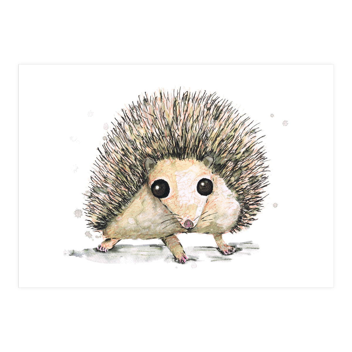 Hedgehog (Print Only)