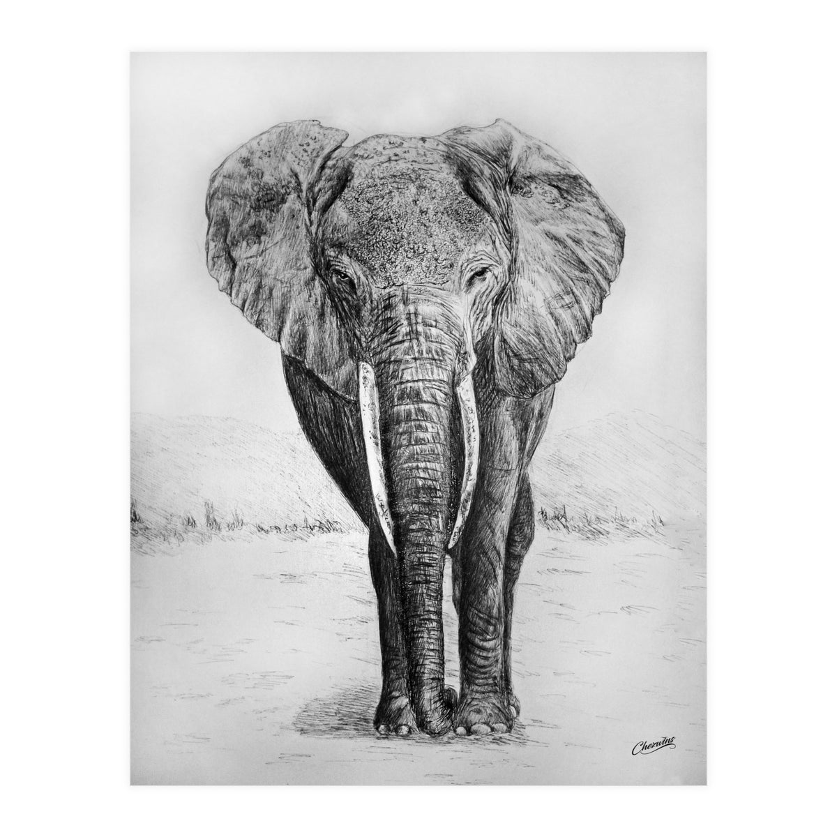 The Long Journey (Print Only)