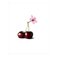 Cherry Blossom (Print Only)