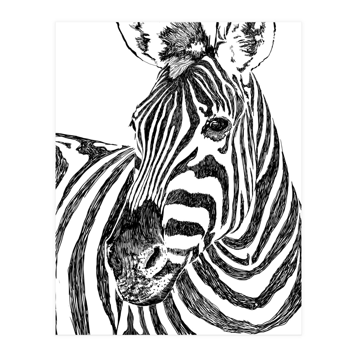 Zebra (Print Only)