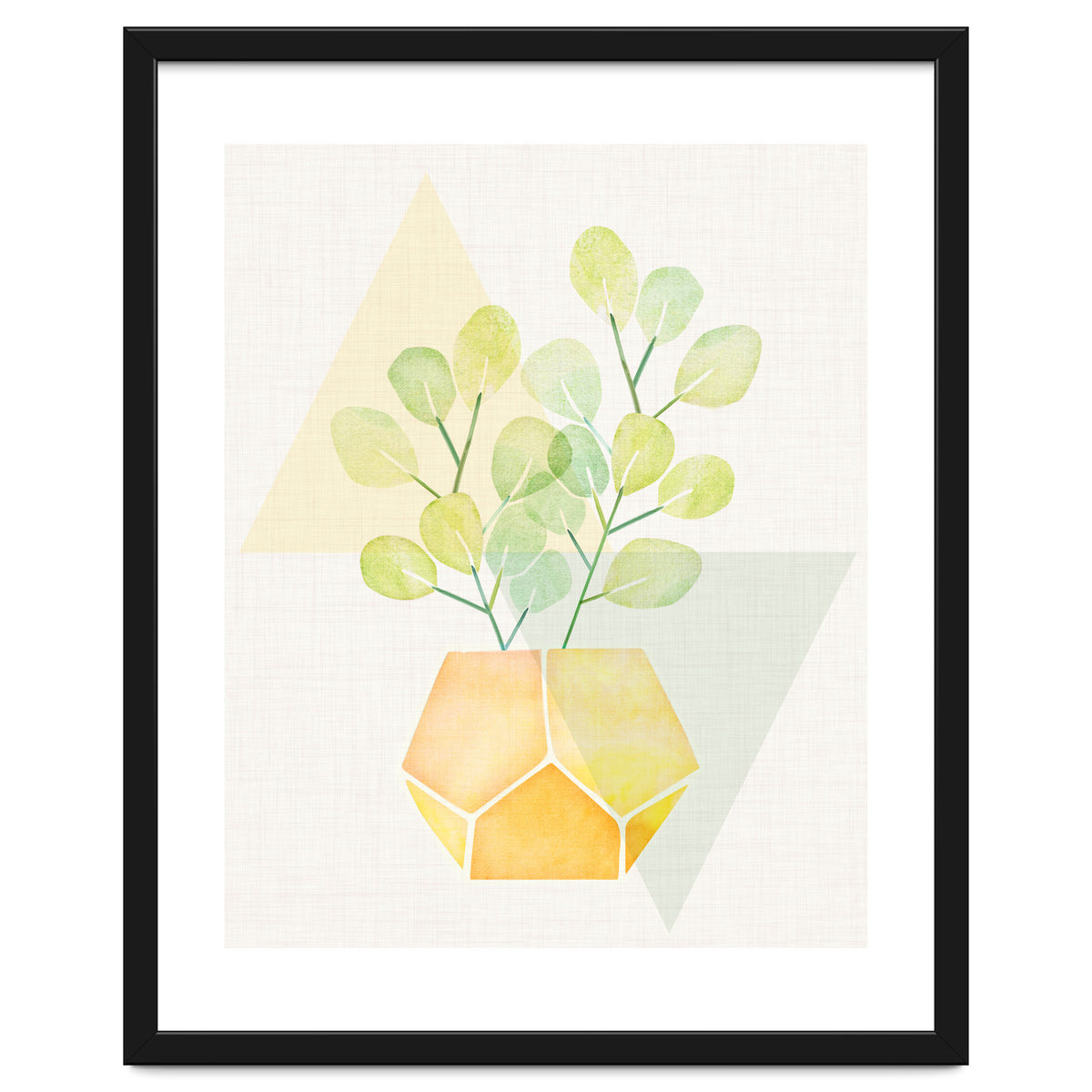 Geometry and House Plant