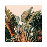 Hue (Print Only) thumbnail