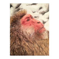 Japanese Macaque At The Onsen (Print Only)