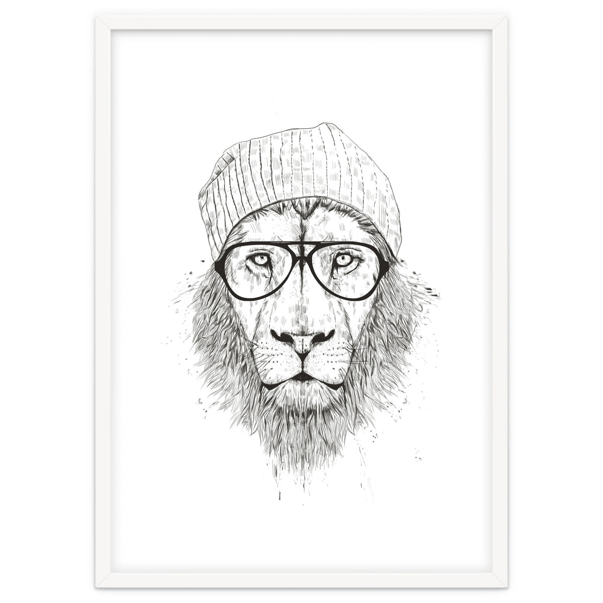 Cool Lion Bw