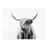 Portrait of a Highland Cow II (Print Only)