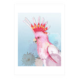 Major Mitchell's cockatoo (Print Only) thumbnail