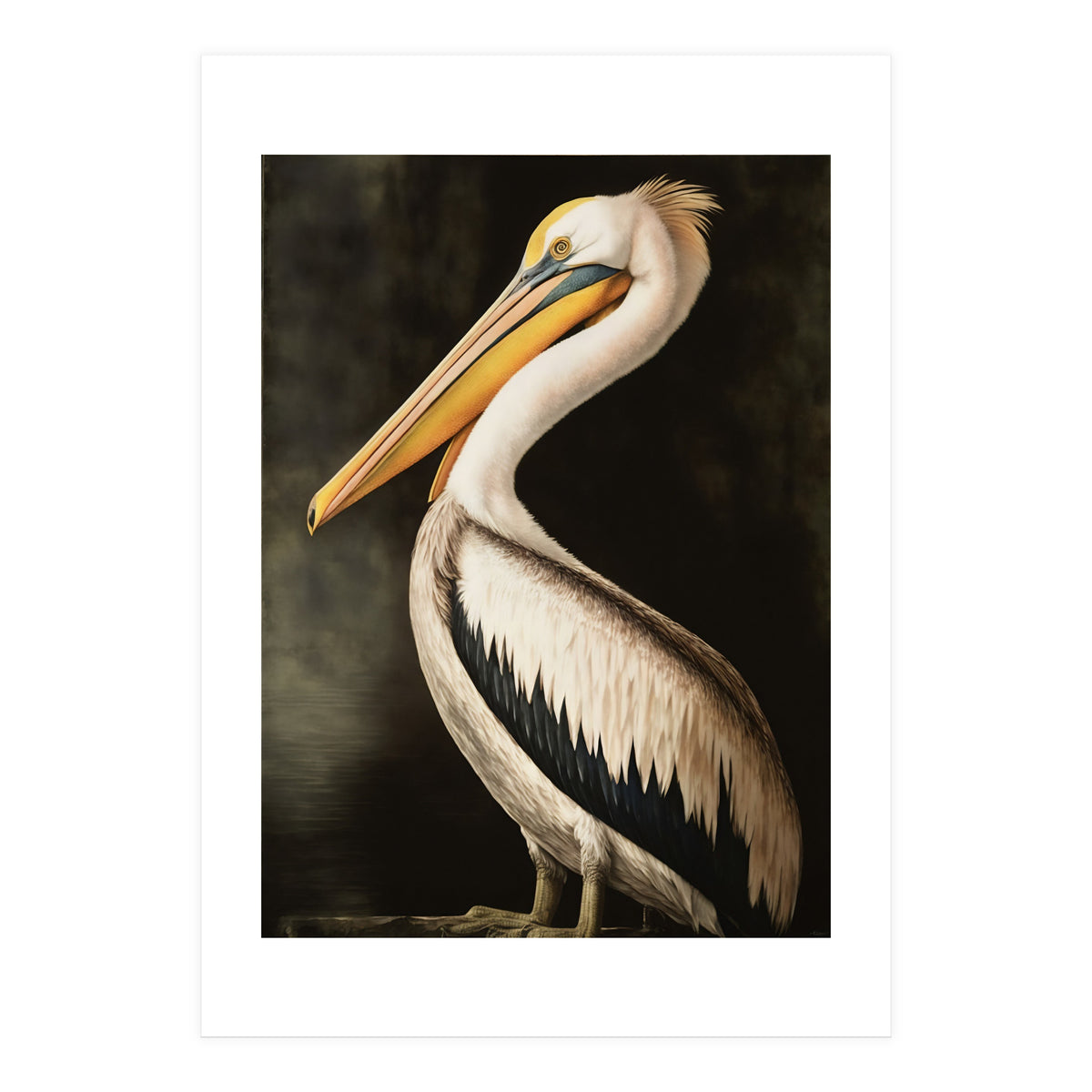 Pelican Oil Painting (Print Only)