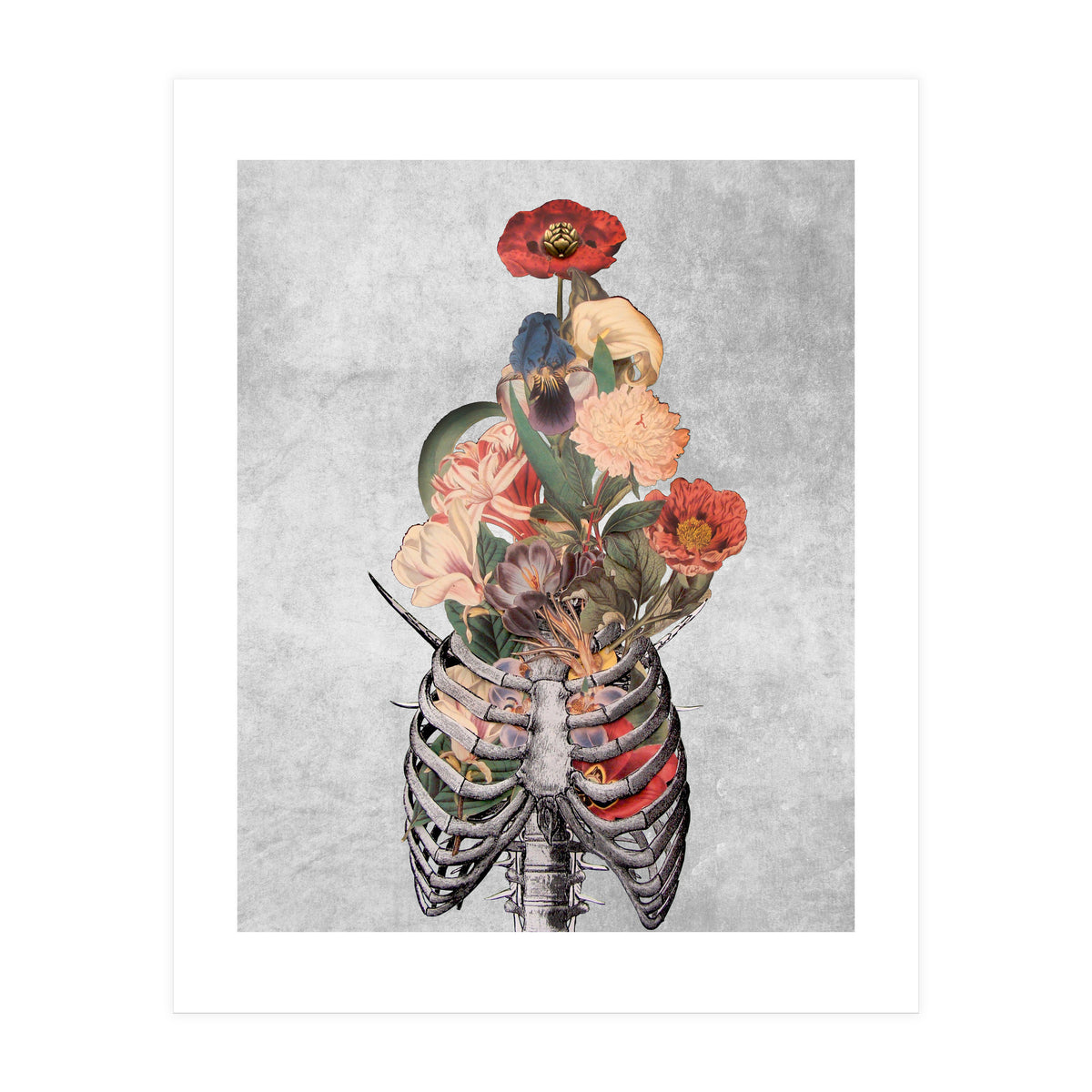 arte vittoriana (Print Only)