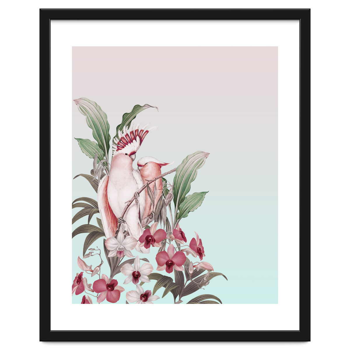 Pastel Cockatoos Paradise