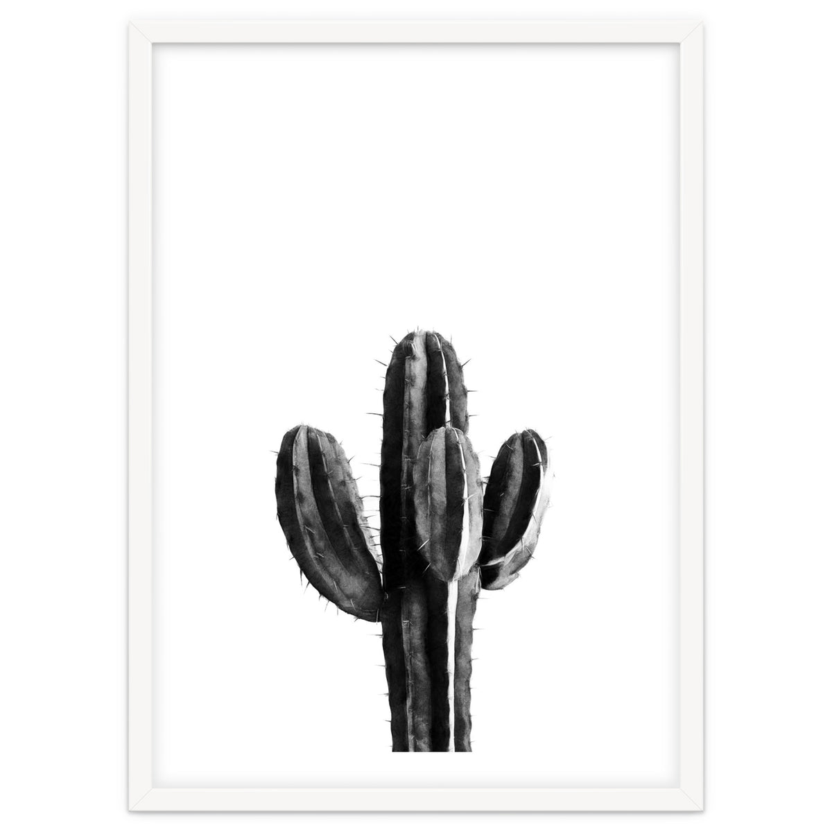 Cactus Black And White 03