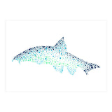 Barbel Fish (Print Only) thumbnail