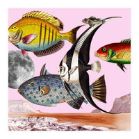 Fish World Pink (Print Only)
