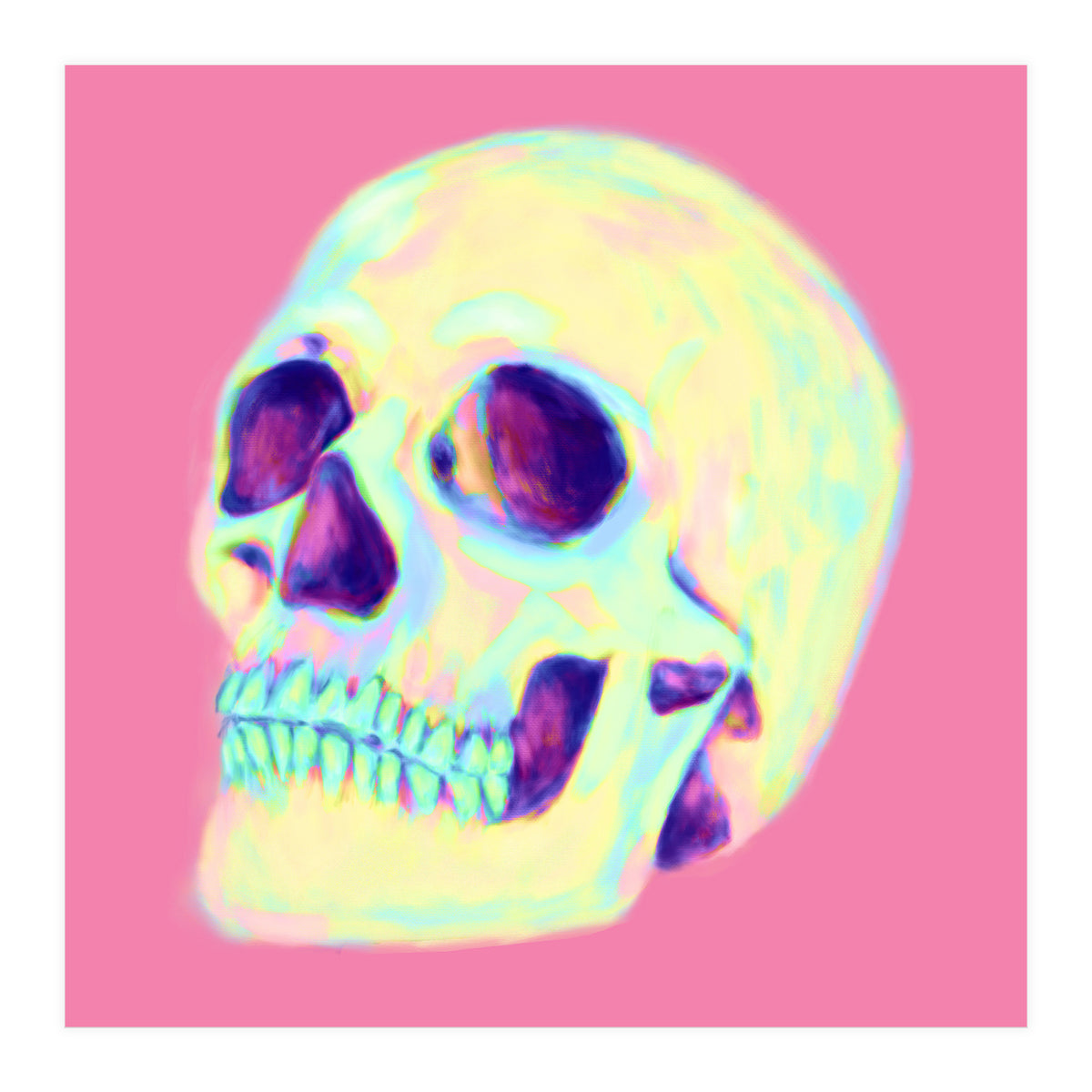 Skull (Print Only)