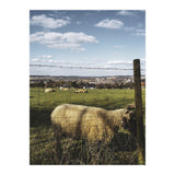 Bucolism 5 (Print Only) thumbnail