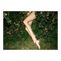 The Cider House Legs (Print Only)