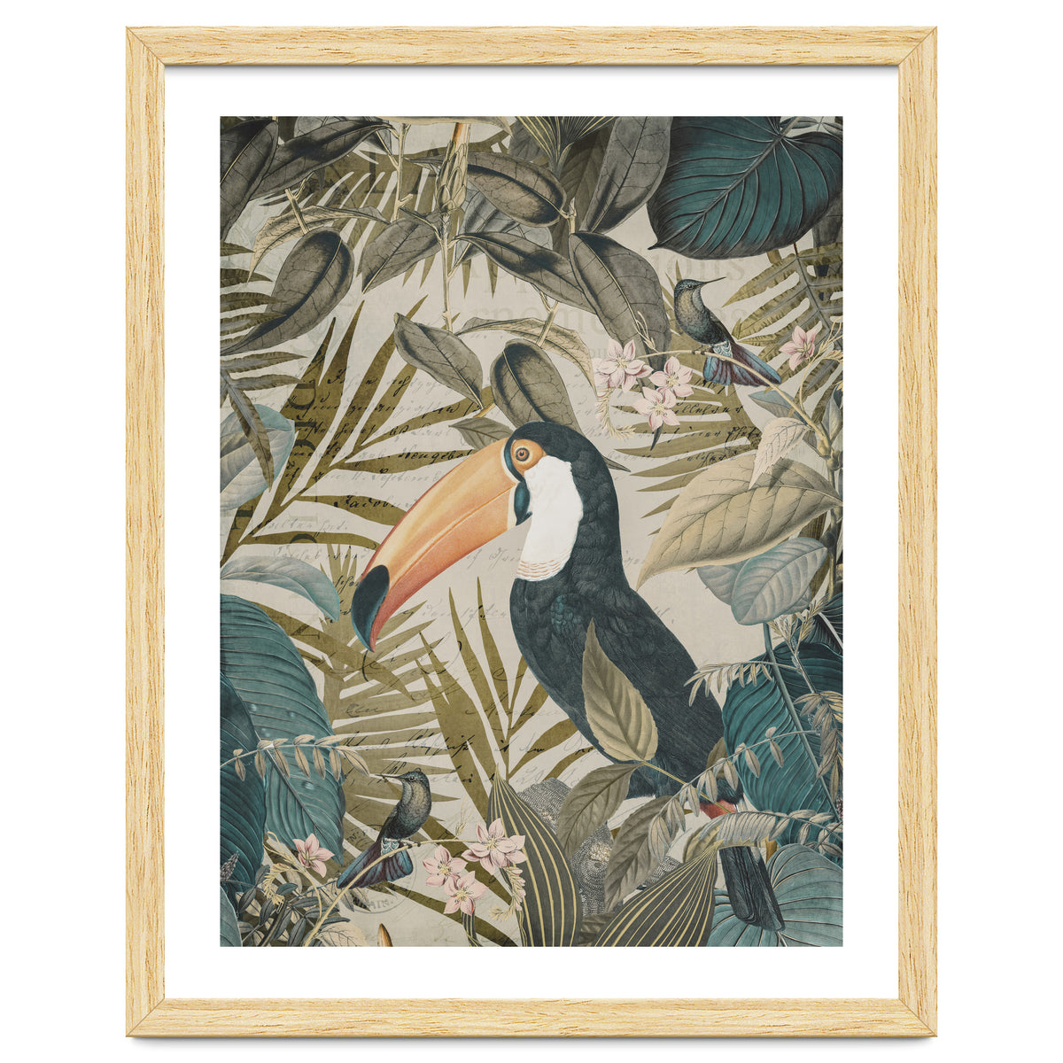 Jungle Toucan